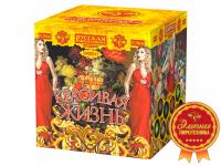 Красивая жизнь Фейерверк купить в Верее | vereya.salutsklad.ru