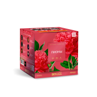 Пионы Салют купить в Верее | vereya.salutsklad.ru