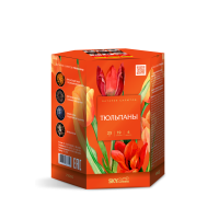 Тюльпаны Салют купить в Верее | vereya.salutsklad.ru