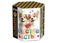 Счастье есть! Салют купить в Верее | vereya.salutsklad.ru