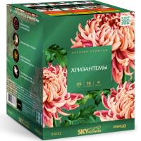 Хризантемы Фейерверк купить в Верее | vereya.salutsklad.ru