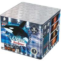 Косатка Фейерверк купить в Верее | vereya.salutsklad.ru