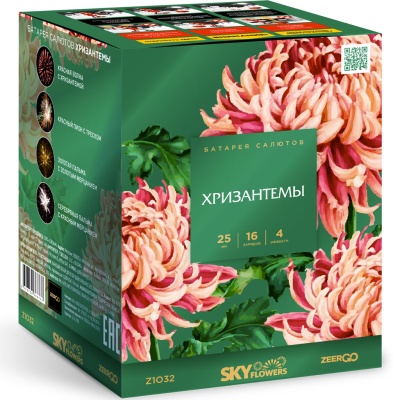 Хризантемы Фейерверк купить в Верее | vereya.salutsklad.ru